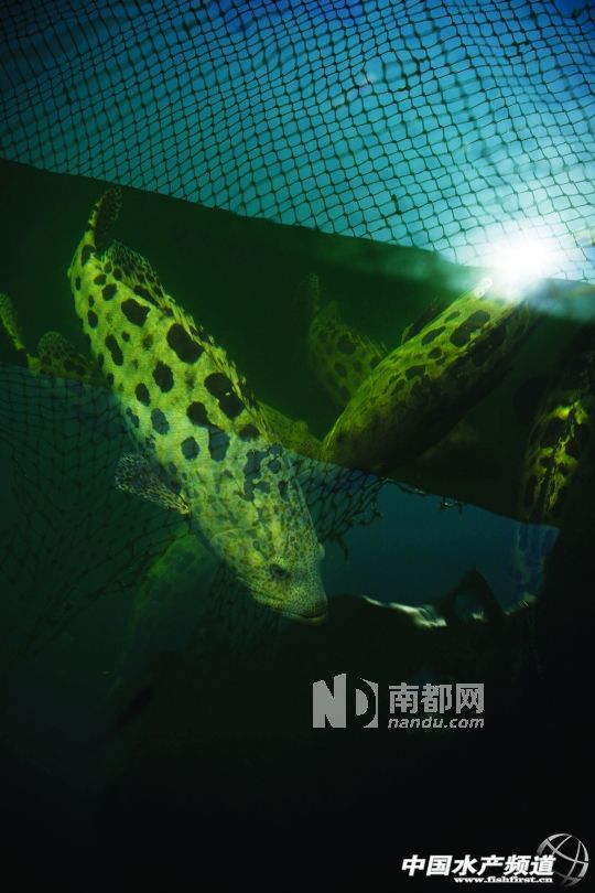 �ϰ��p���a�^�Bֳ�����˹���B��ʯ���~��ʯ���~���L�����L�����~�絽�L������������Գ��ۣ�������Ҫ����r�g��