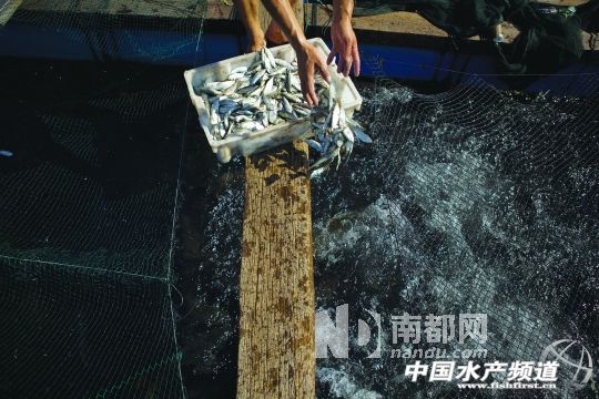 �ϰ��p���a�^�Bֳ�����˹���B��ʯ���~��ʯ���~���L�����L�����~�絽�L������������Գ��ۣ�������Ҫ����r�g��