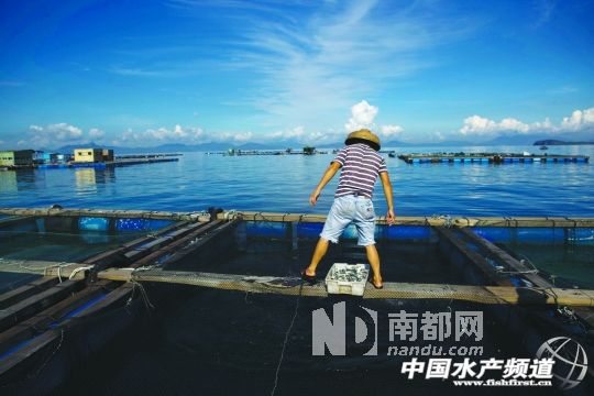 �ϰ��p���a�^�Bֳ�����˹���B��ʯ���~��ʯ���~���L�����L�����~�絽�L������������Գ��ۣ�������Ҫ����r�g��