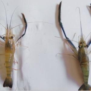 ���]�_�����r�����F�r����