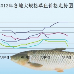 2013��6��24�������ǵ؅^��Ҏ����~���^�r