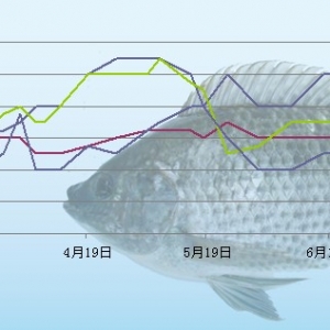 2013��6��24�������ǵ؅^�_���~���^�r