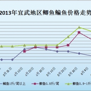 2013��6��24���˲��؅^�a�~�����~���^�r