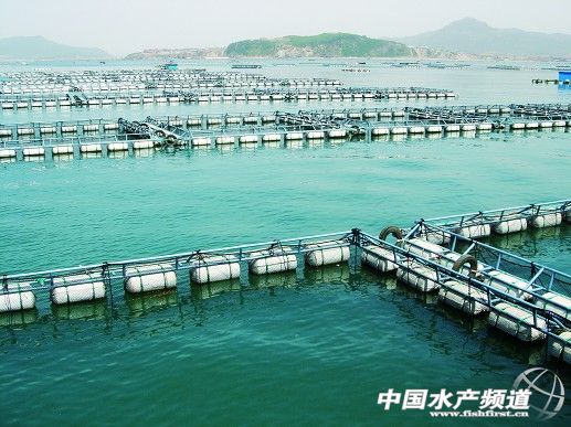 �����~���M�Ј��􆾽��