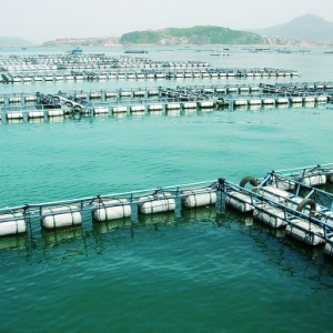 �����~���M�Ј��􆾽��