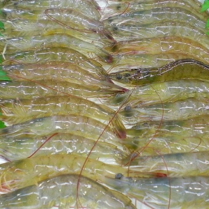 6��22-28�Ռ��r�r�������܈�