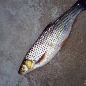 �V�|�N�~�B(y��ng)ֳ�śr�{(di��o)���c�������u�ɟ��TƷ�N