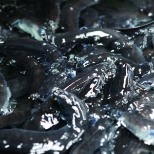 �˷��ʹ�����pɫ�����ЙC����