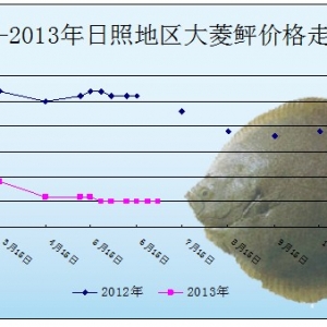 2013��7��1��ɽ�|���յ؅^�����҃r������