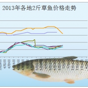 2013��7��1��ȫ������2��Ҏ(gu��)����~���^�r