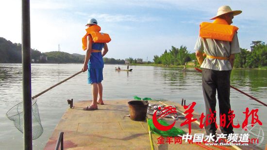 �V���R����Ⱦ�������� �ؽ����k���B����(bi��o)��(sh��)��