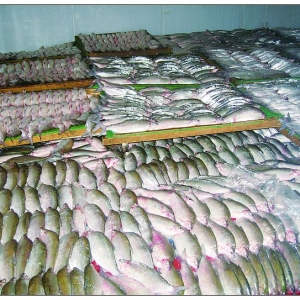 ���q�~�Ĺ���