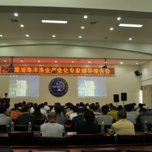 ����ϼ�֣�������Ʒ�� �l(f��)չ���a(ch��n)���h