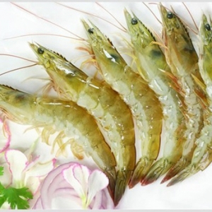 2013��7��8-12�������׌��r�����܈�