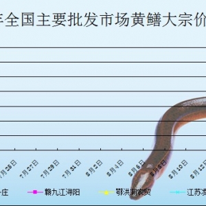 2013��7��18��ȫ����Ҫ���l�Ј��S�X�r������