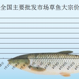 2013��7��19��ȫ����Ҫ���l�Ј�����~�r������