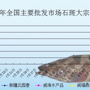 2013��7��19��ȫ����Ҫ���l�Ј�ʯ���~�r������