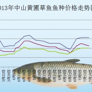 2013��7��6��-18����ɽ�S�Բ��~(y��)�N���^�r(ji��)