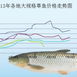 2013��7��6��-18�ո��؅^(q��)��Ҏ(gu��)����~(y��)���^�r(ji��)