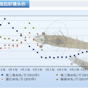 ���r����Ʒ�r�������� �r�r�µ�����ˮ�aǰ�ء�2013��7�¿��Ј�څ��