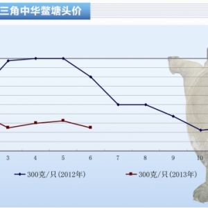 ���A�M��6�¼��~�r���ٴ�̽�ס���ˮ�aǰ�ء�2013��7�¿��Ј�څ��