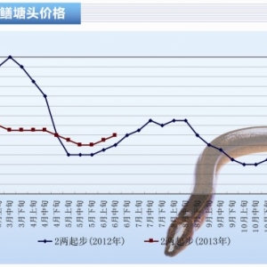 �S�X�����Վ��ӿ����ϝq ���ڃr������������ˮ�aǰ�ء�2013��7�¿��Ј�څ��