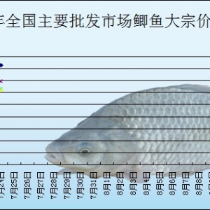 2013��7��24��ȫ����Ҫ���l�Ј��a�~�r������