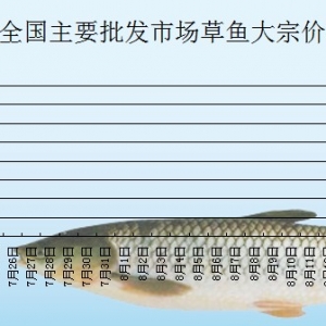 2013��7��24��ȫ����Ҫ���l�Ј����~�r������