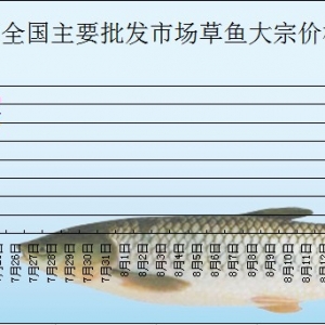 2013��7��25��ȫ����Ҫ���l�Ј����~�r������