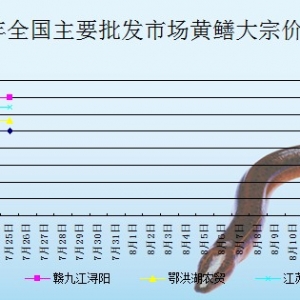 2013��7��25��ȫ����Ҫ���l�Ј��S�X�r������