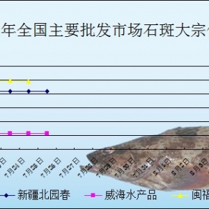 2013��7��25��ȫ����Ҫ���l�Ј�ʯ���~�r������