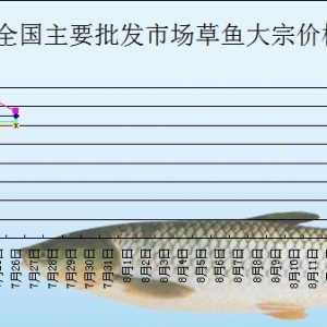 2013��7��26��ȫ����Ҫ���l�Ј����~�r������