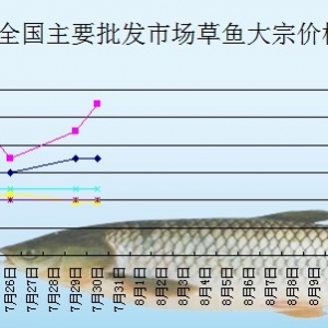 2013��7��30��ȫ����Ҫ���l�Ј����~�r������