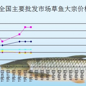 2013��7��31��ȫ����Ҫ���l�Ј����~�r������