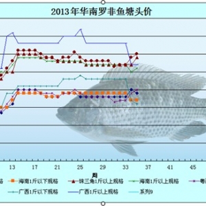 7��29��-8��1�ո��؅^�_���~�r�������܈�