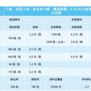 �����ǲ��~�Bֳ�Ј��{��