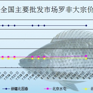 2013��8��7��ȫ����Ҫ���l�Ј��_���~�r������