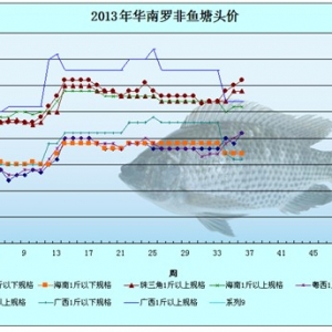 2013��8��5-8���_���~�r�������܈�