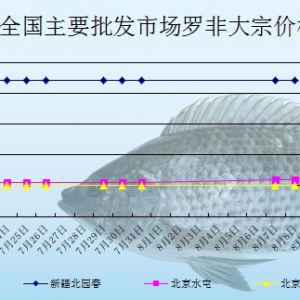 2013��8��8��ȫ����Ҫ���l�Ј��_���~�r������