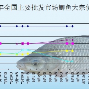 2013��8��8��ȫ����Ҫ���l�Ј��a�~�r������