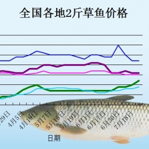 2013��8��8��ȫ���؅^(q��)���~���^�r