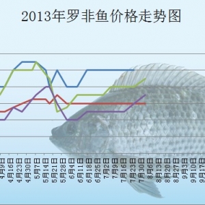 2013��8��8�ղ��ֵ؅^�_���~���^�r