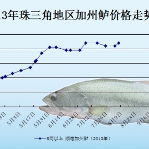 2013��8��8��ȫ�����؅^�����|���^�r