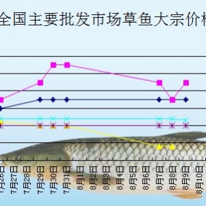 2013��8��9��ȫ����Ҫ���l�Ј����~�r������