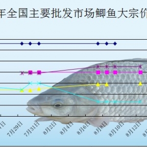 2013��8��12��ȫ����Ҫ���l�Ј��a�~�r������