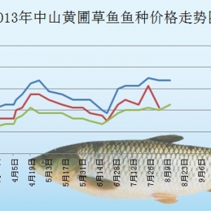 2013��8��12����ɽ�S�Բ��~�N���^�r