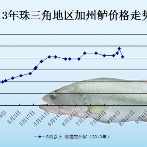 2013��8��12��ȫ�����؅^�����|���^�r