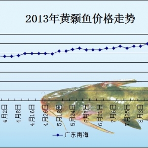 2013��8��12��ȫ���؅^�S��~���^�r