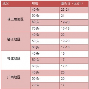 2013��8��12-16�������׌��r�r�������܈�