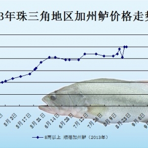 2013��8��16��ȫ�����؅^�����|���^�r